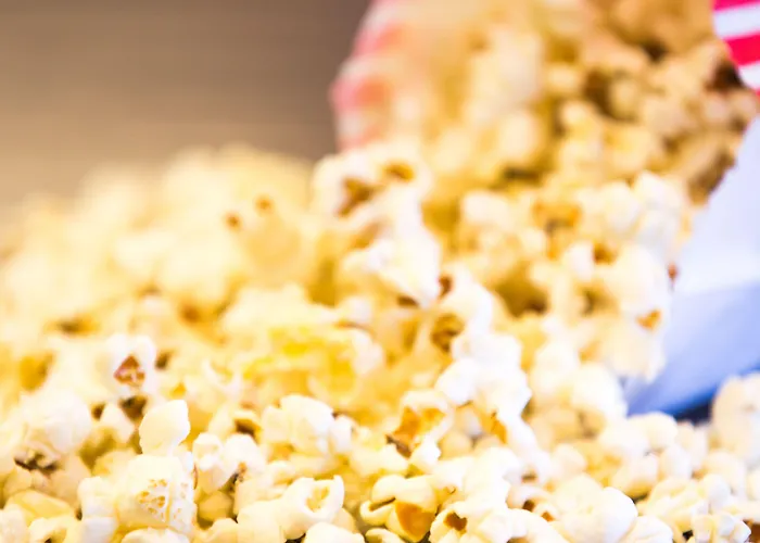 Pear Tree Inn St. Louis Airport